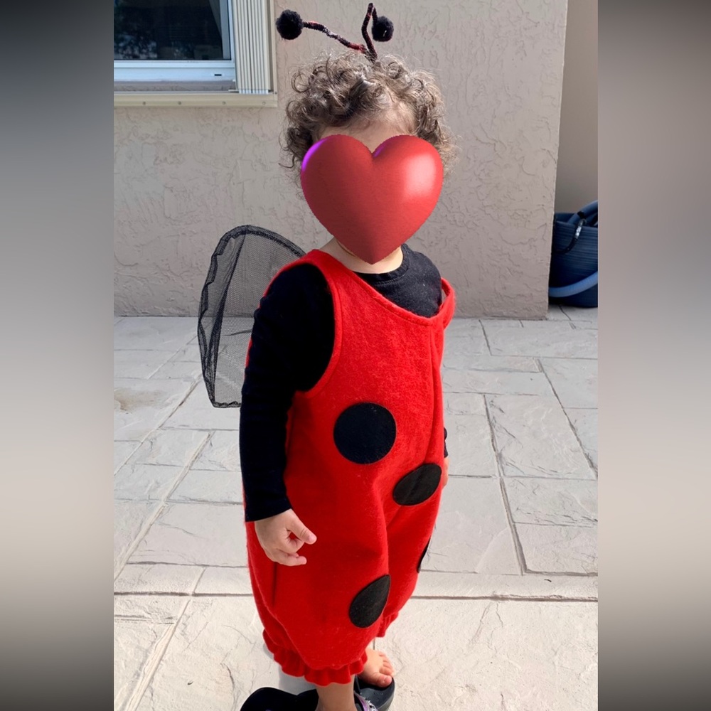 🐞 Toddler ladybug costume 🐞